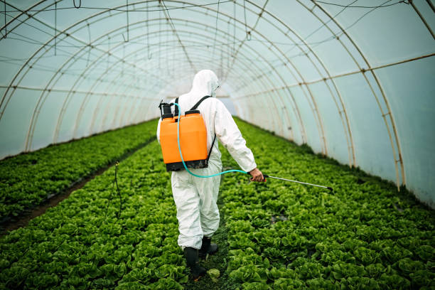 Best Pest Inspection Near Me  in Lincoln Village, CA