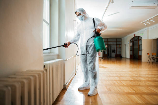 Best Rat Extermination Near Me  in Lincoln Village, CA